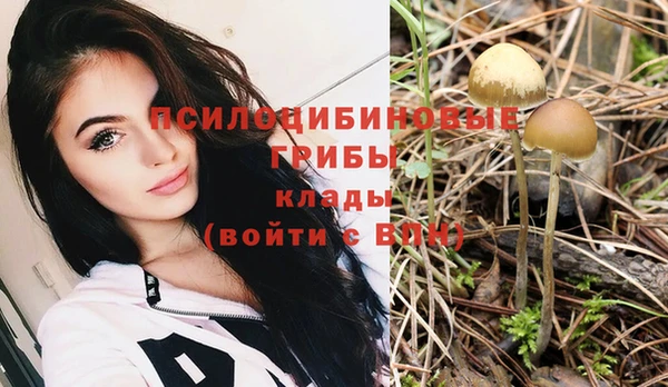 кокс Балабаново